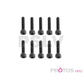 MSH71103	M2,5x10 Socket Head Cap Screw  Protos Max 700/800   